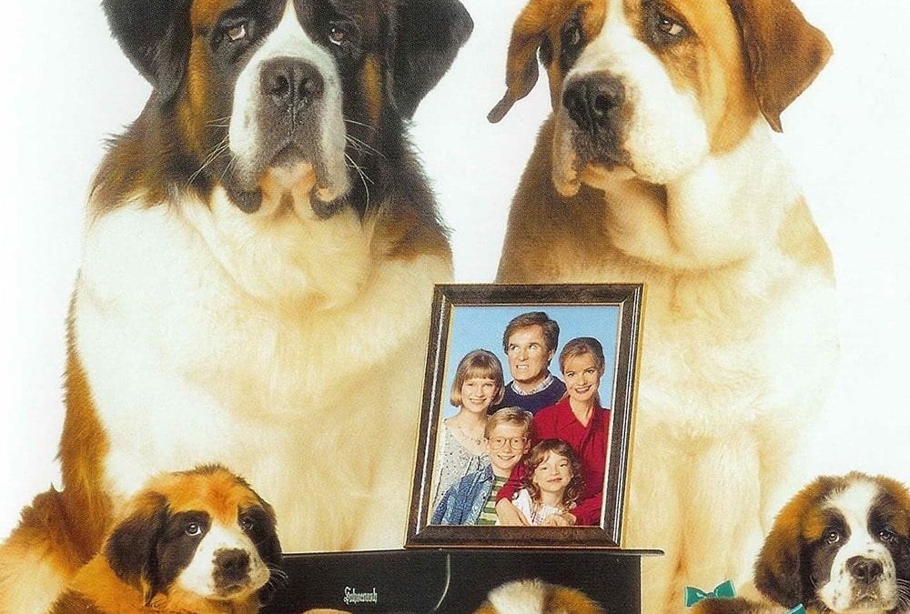 Affiche du film "Beethoven 2"